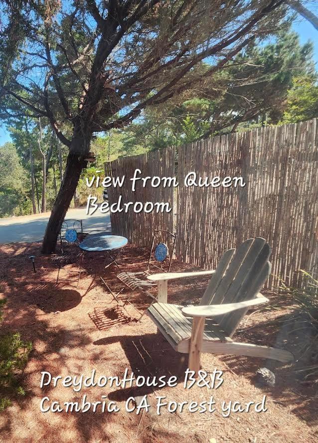Dreydon House Bed And Breakfast 캠브리아 외부 사진
